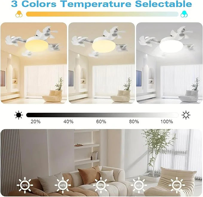 2-in-1 Fan Light