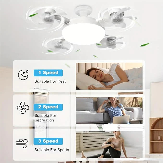 2-in-1 Fan Light