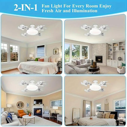 2-in-1 Fan Light
